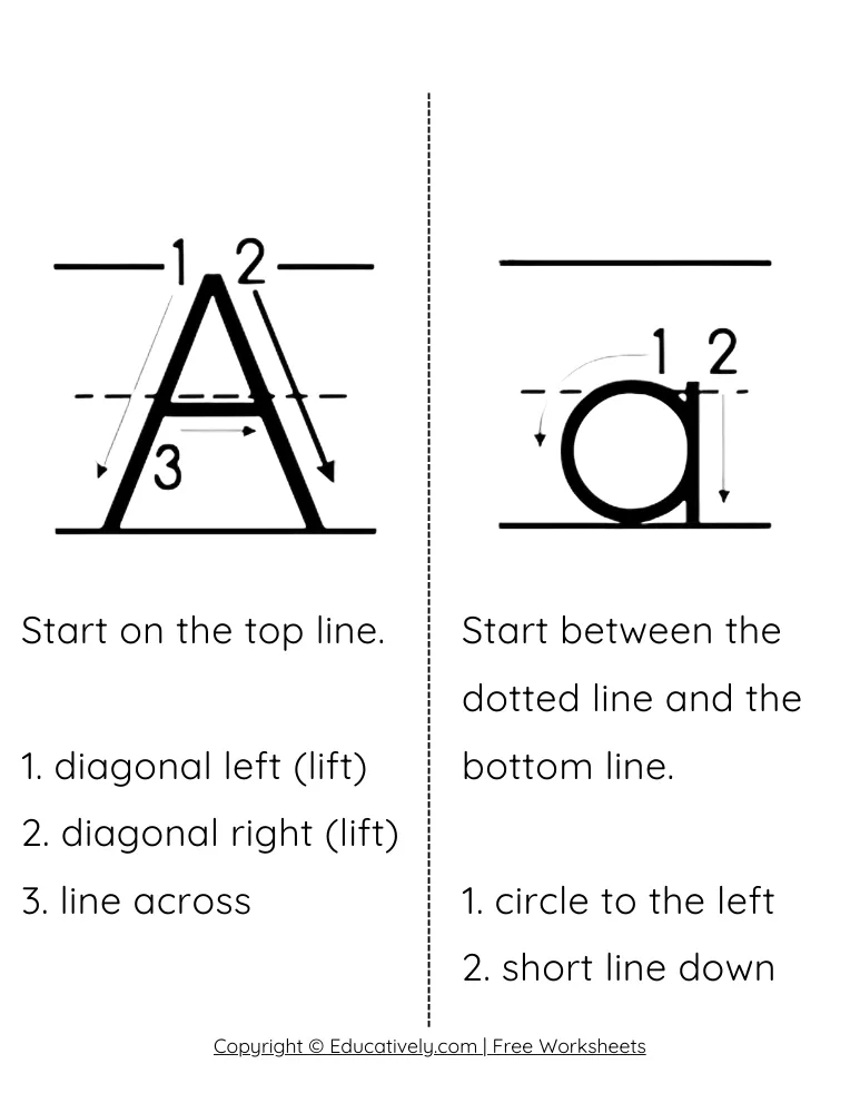 Letter A Formation Uppercase and Lowercase