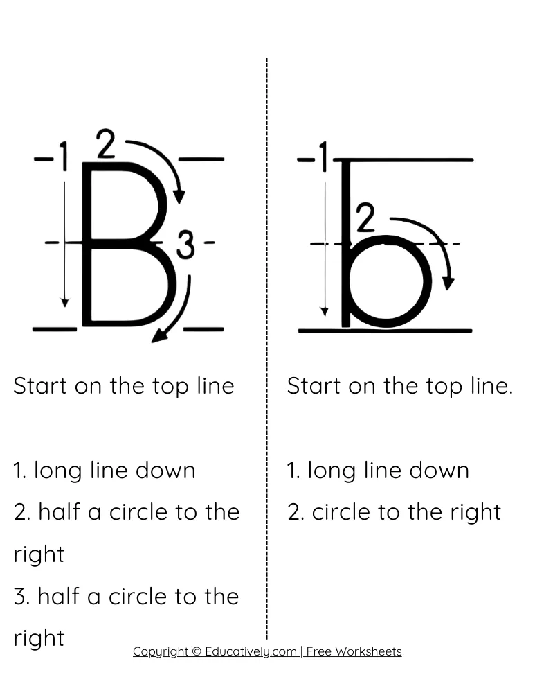 Letter B Formation Uppercase and Lowercase