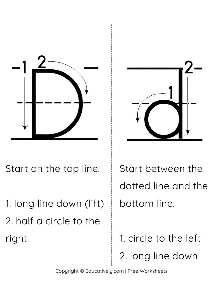 Letter D Formation Uppercase and Lowercase