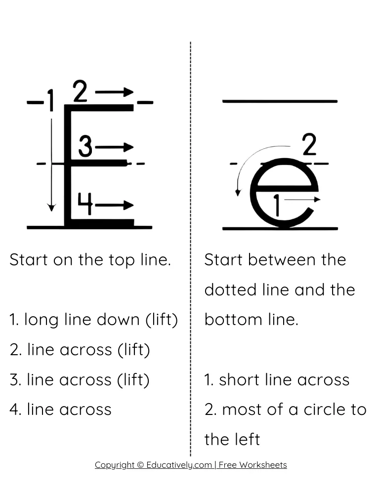 Letter E Formation Uppercase and Lowercase