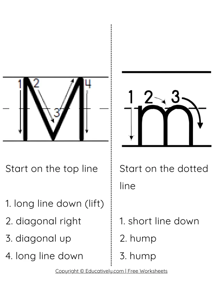 Letter M Formation Uppercase and Lowercase