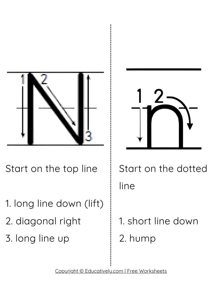 Letter N Formation Uppercase and Lowercase