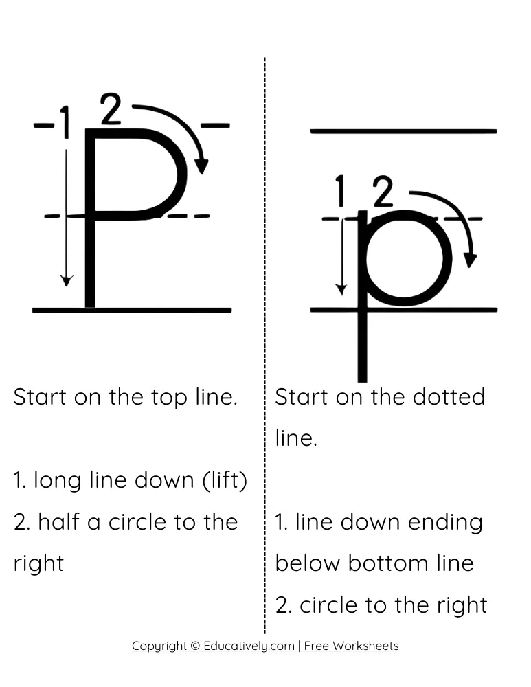 Letter P Formation Uppercase and Lowercase