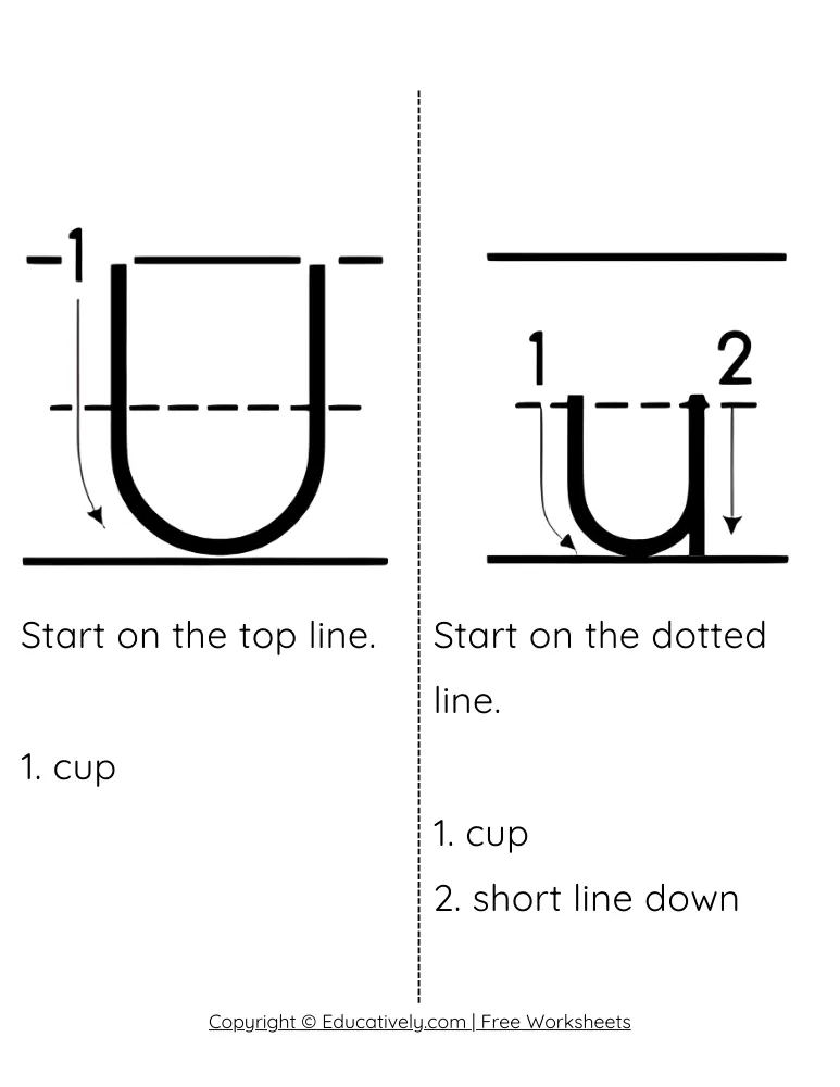 Letter U Formation Uppercase and Lowercase