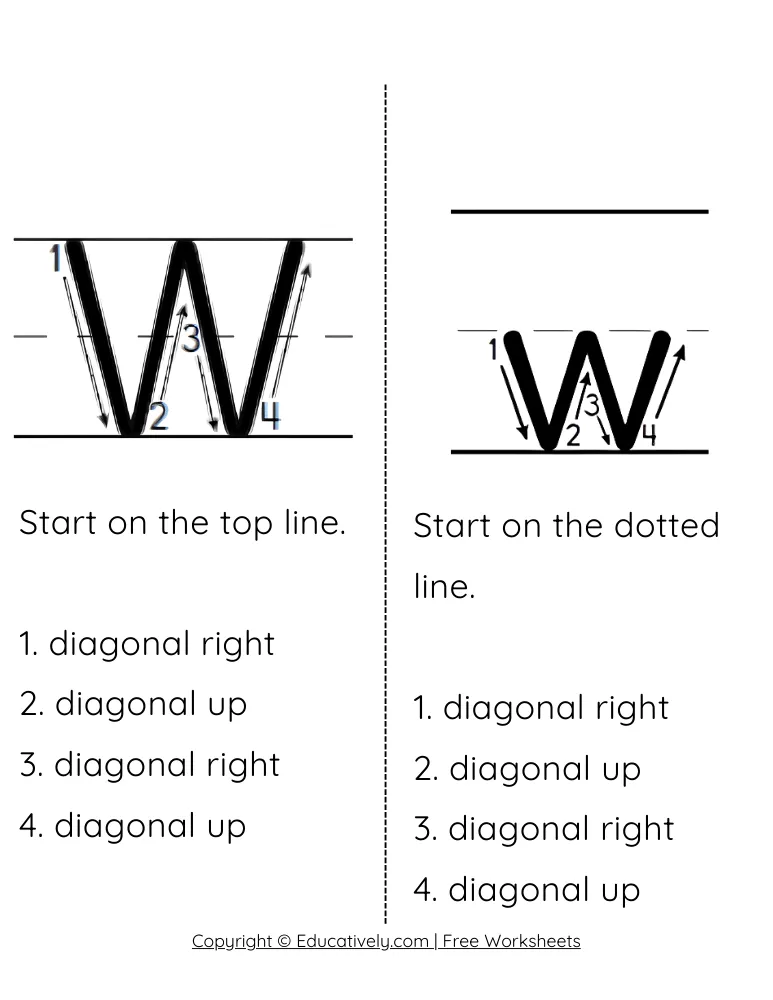 Letter W Formation Uppercase and Lowercase