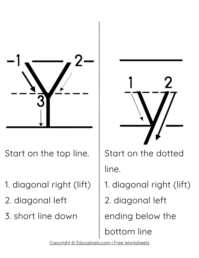 Letter Y Formation Uppercase and Lowercase
